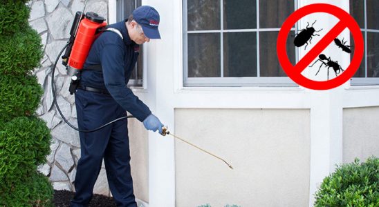 Perşembe Fare İlaçlama böcek ilaçlama ve haşere kontrolü — ilaclama-tr.com